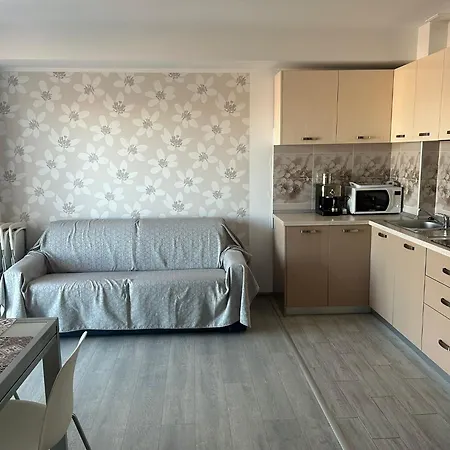 Andreea's Апартаменты *